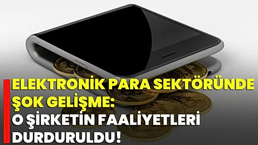 6493 Kanun elektronik para ödeme hizmeti kuruluşu idari para hapis ceza Merkez Bankası fintech hukuk bürosu avukat mali suç cezai sorumluluk