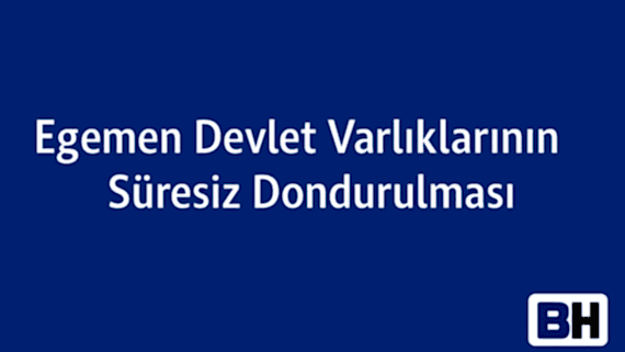 AB Konseyi Rusya Devlet Varlıkları Süresiz Dondurma Uluslararası Hukuk Yaptırım Rejimi Egemen Devlet Hukuk Bürosu Avukat uyum Ukrayna savaşı